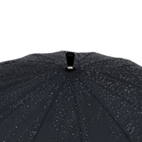 Stockschirm Edinburgh