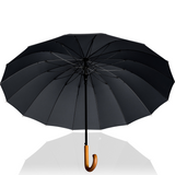 Stockschirm Edinburgh